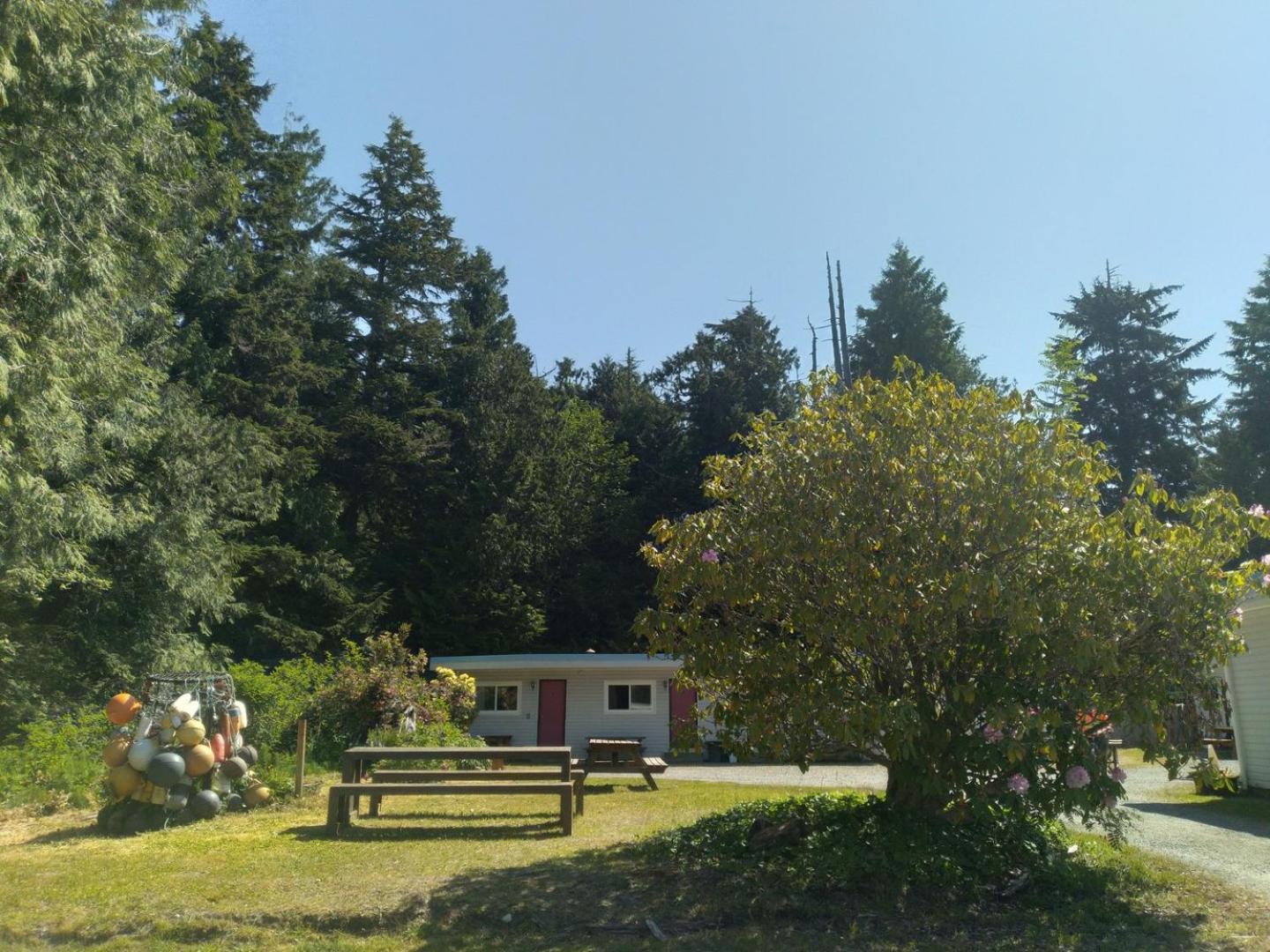 Dolphin Motel Tofino Eksteriør bilde